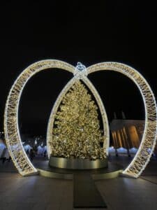 le sapin illumine sur la place de la cathedrale - VILNIUS LITUANIA ERASMUS PRO, LET'S GO !