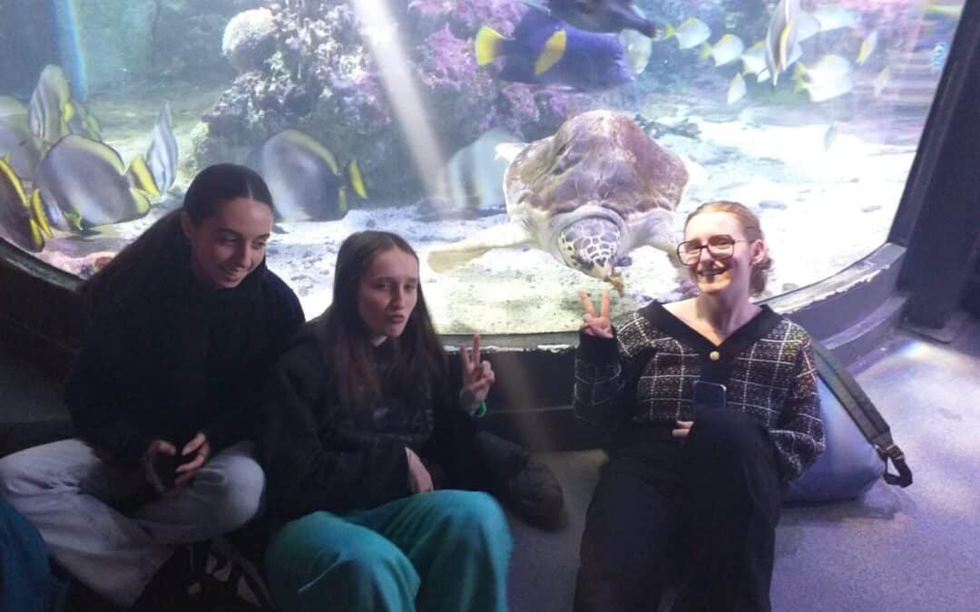 Mobilité Erasmus+ en Italie : visite du plus grand aquarium d’Europe